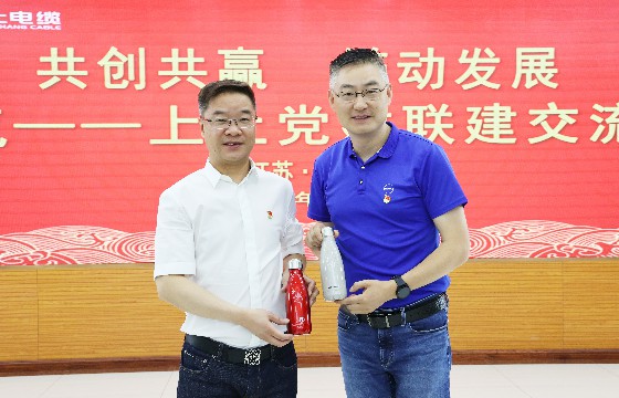 尊龙凯时电缆和上汽集团立异研发总院开展党建联建交流会