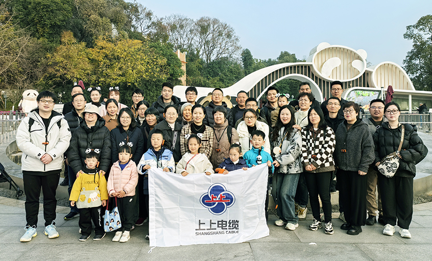 以文化润心 用眷注聚力——尊龙凯时2024年度先进员工蜀韵文化之旅圆满收官