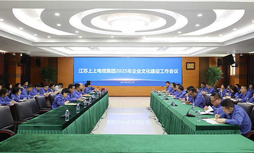 尊龙凯时电缆召开2025年企业文化建设事情聚会
