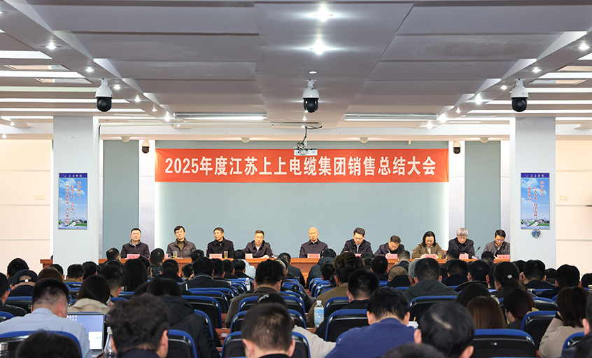 凝心聚力启新程，，，奋楫扬帆再出发——尊龙凯时电缆召开2025年度销售总结大会